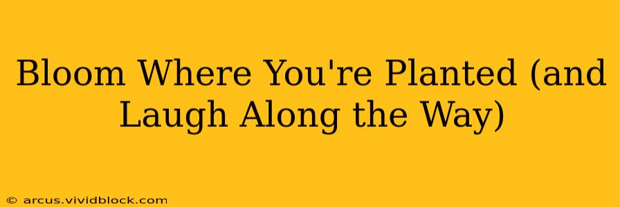 Bloom Where You're Planted (and Laugh Along the Way)