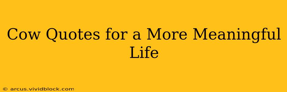 Cow Quotes for a More Meaningful Life