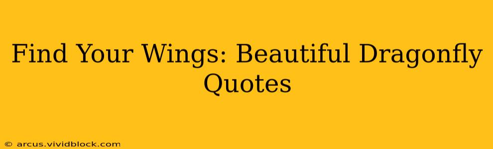 Find Your Wings: Beautiful Dragonfly Quotes