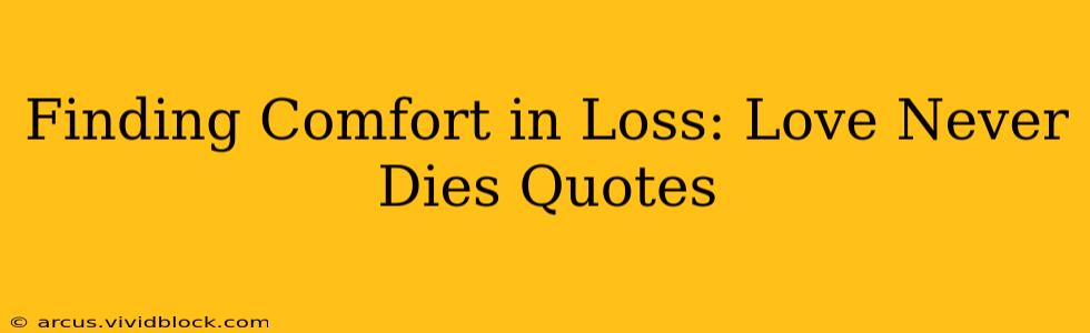 Finding Comfort in Loss: Love Never Dies Quotes