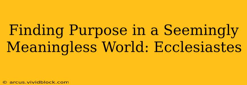 Finding Purpose in a Seemingly Meaningless World: Ecclesiastes