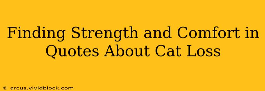 Finding Strength and Comfort in Quotes About Cat Loss