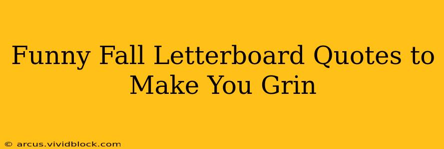 Funny Fall Letterboard Quotes to Make You Grin