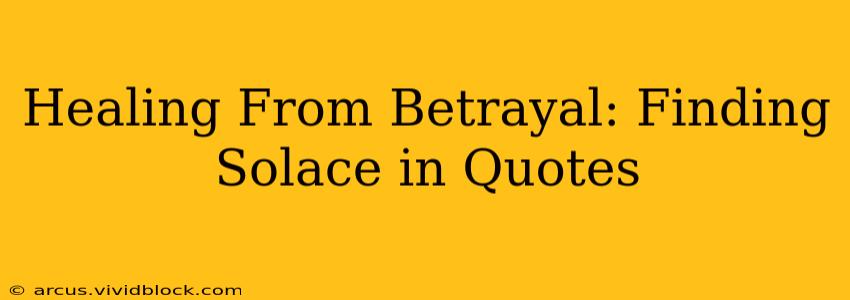 Healing From Betrayal: Finding Solace in Quotes