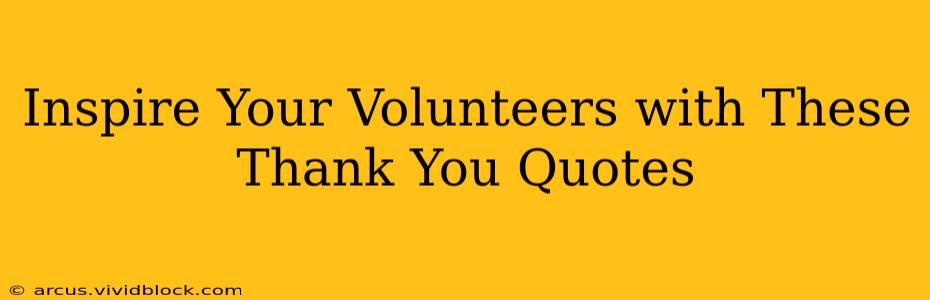 Inspire Your Volunteers with These Thank You Quotes