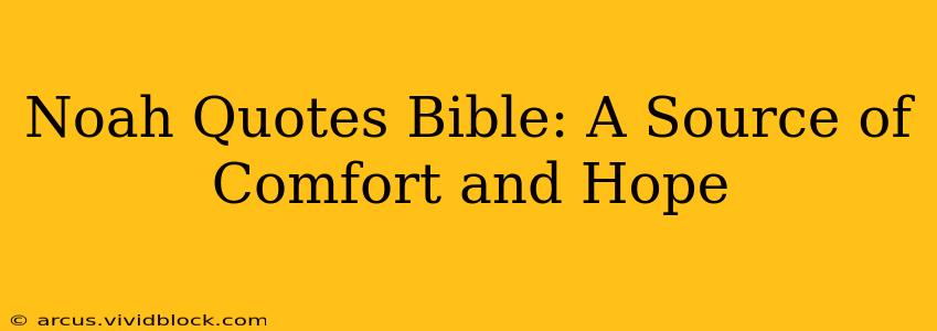 Noah Quotes Bible: A Source of Comfort and Hope