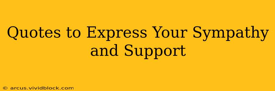 Quotes to Express Your Sympathy and Support