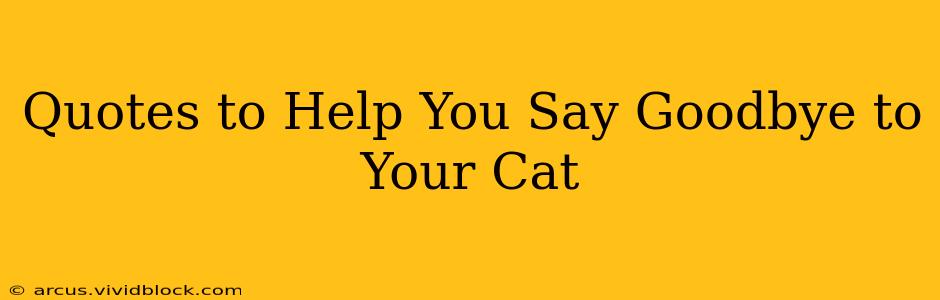 Quotes to Help You Say Goodbye to Your Cat
