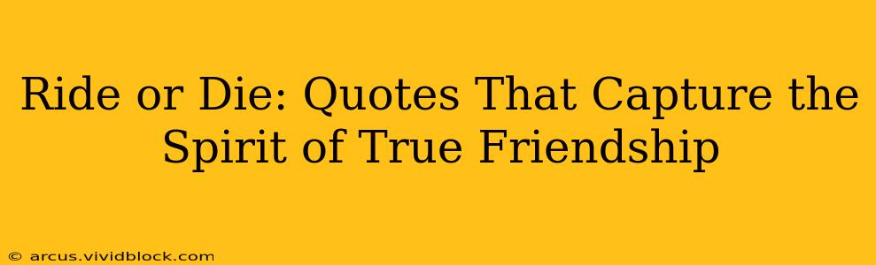 Ride or Die: Quotes That Capture the Spirit of True Friendship