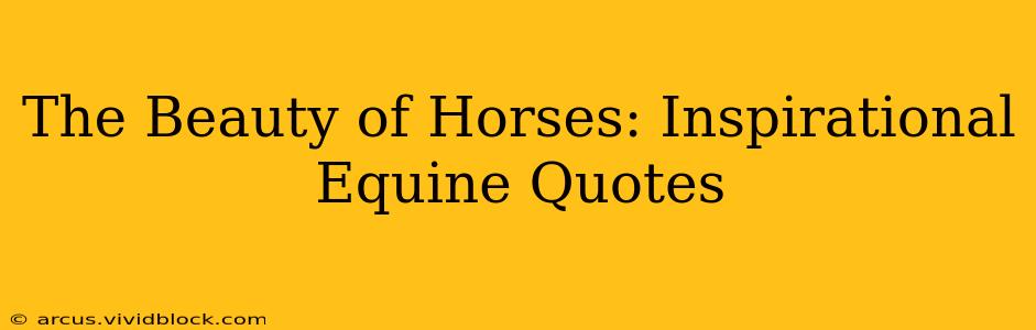 The Beauty of Horses: Inspirational Equine Quotes