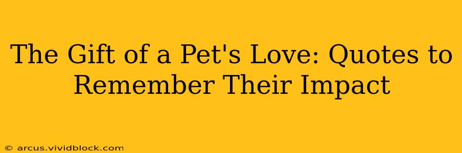 The Gift of a Pet's Love: Quotes to Remember Their Impact