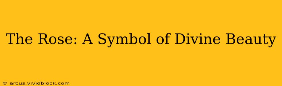 The Rose: A Symbol of Divine Beauty