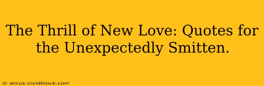 The Thrill of New Love: Quotes for the Unexpectedly Smitten.